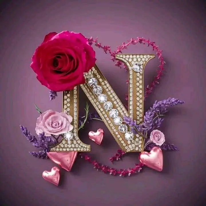 N-name-dp-black N-name-dp-black