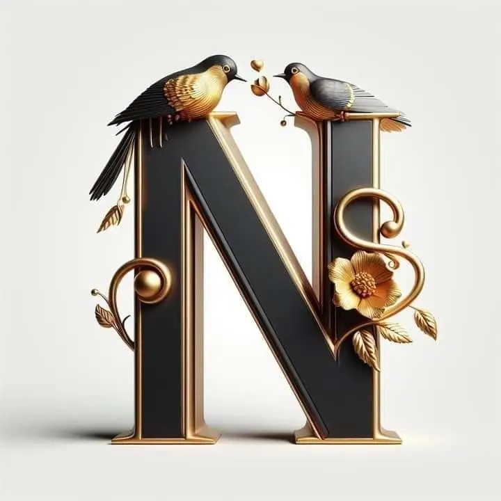 N-name-dp-black N-name-dp-black