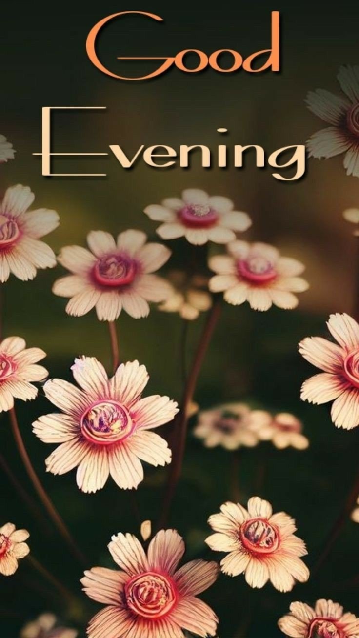 amazing-good-evening-images amazing-good-evening-images