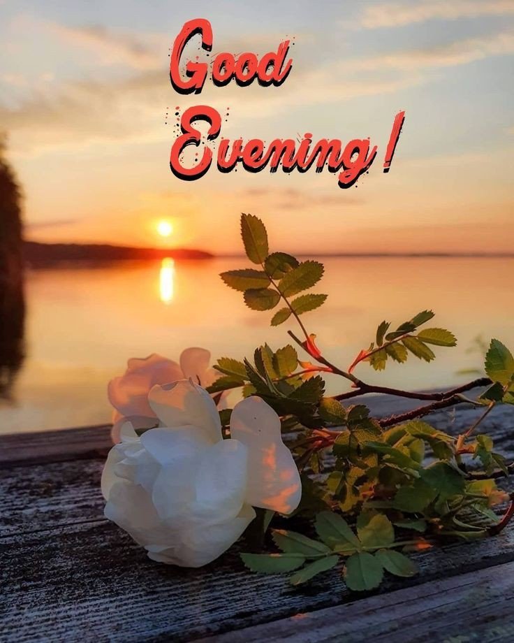 beautiful-good-evening-images-for-whatsapp-with-quotes beautiful-good-evening-images-for-whatsapp-with-quotes