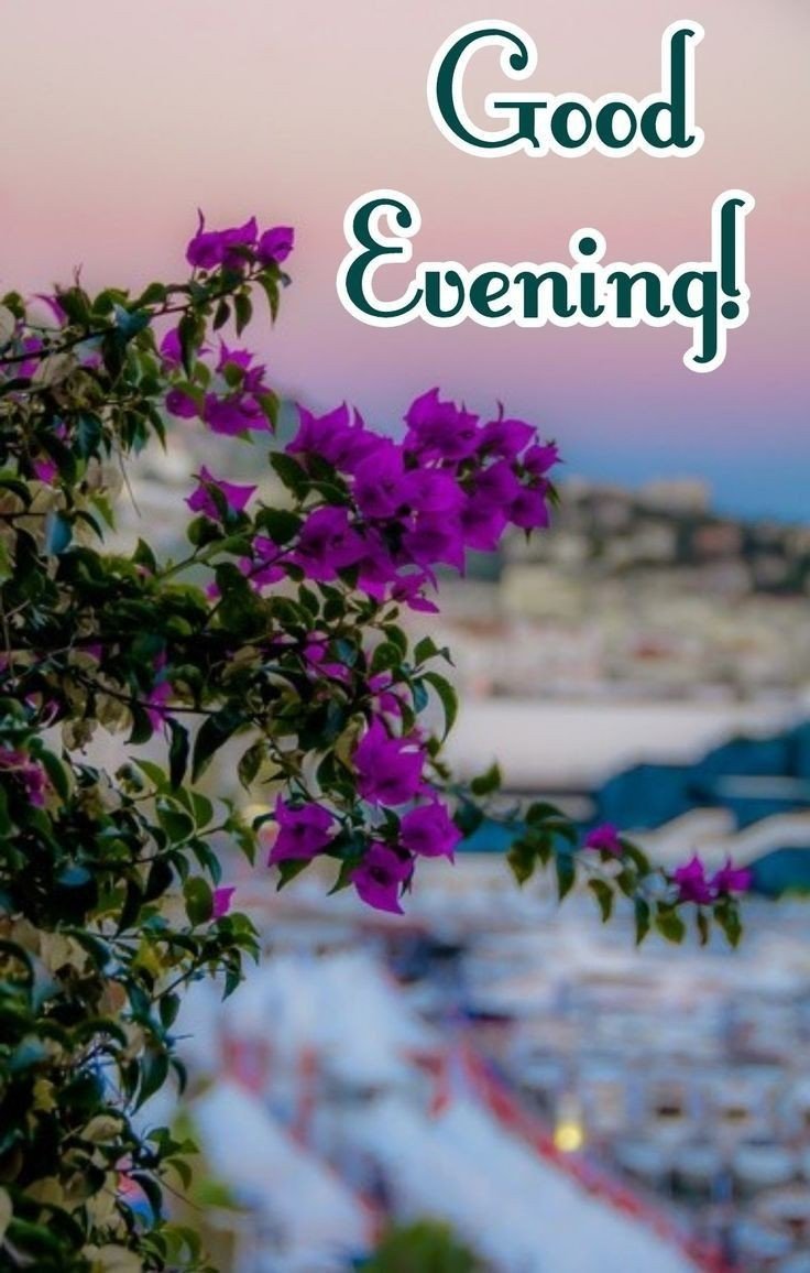 beautiful-good-evening-images-for-whatsapp-with-quotes beautiful-good-evening-images-for-whatsapp-with-quotes