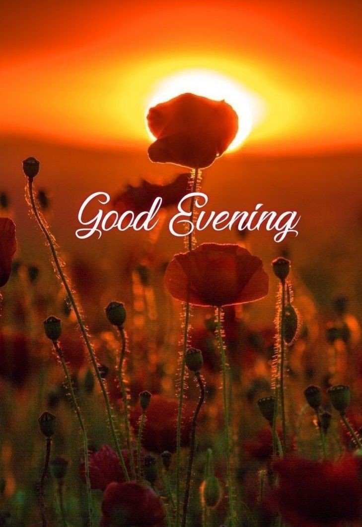 beautiful-peaceful-beautiful-good-evening-images beautiful-peaceful-beautiful-good-evening-images