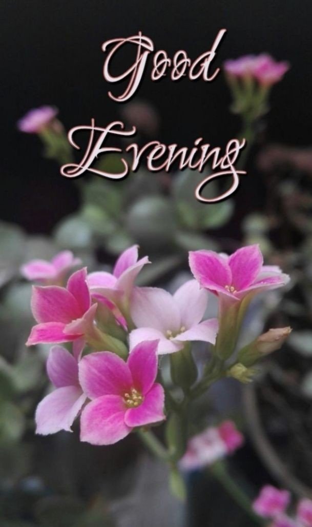 beautiful-peaceful-beautiful-good-evening-images beautiful-peaceful-beautiful-good-evening-images
