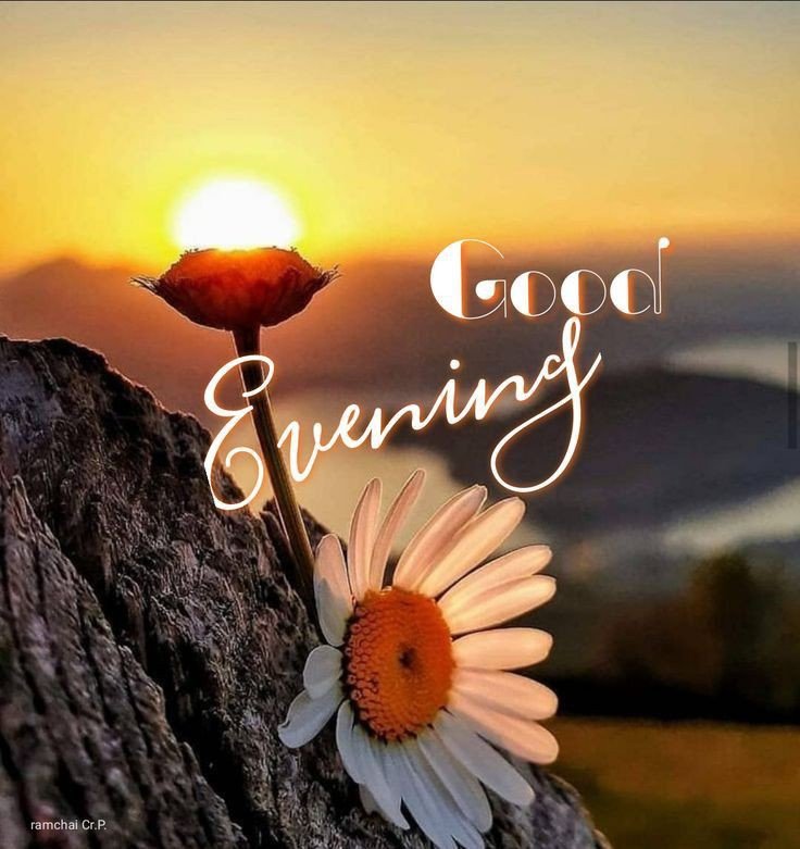 best-good-evening-images-with-quotes best-good-evening-images-with-quotes