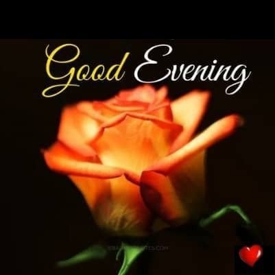 best-good-evening-images-with-quotes best-good-evening-images-with-quotes