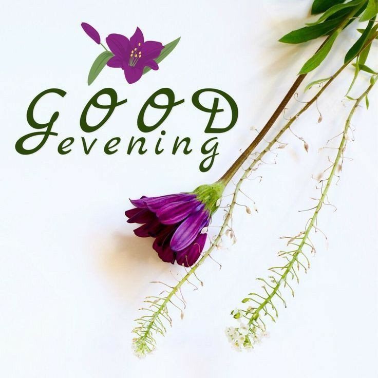 best-good-evening-images-with-quotes best-good-evening-images-with-quotes