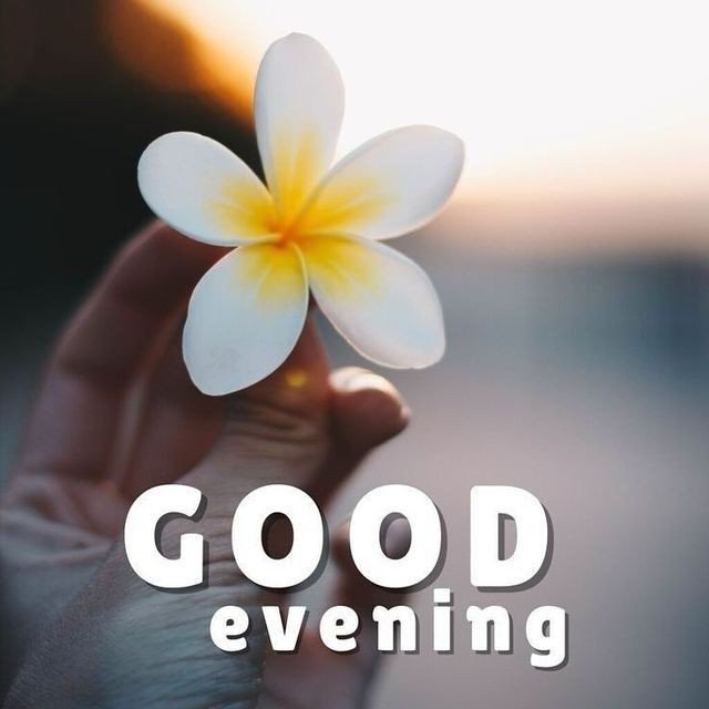 blessed-good-evening-images blessed-good-evening-images