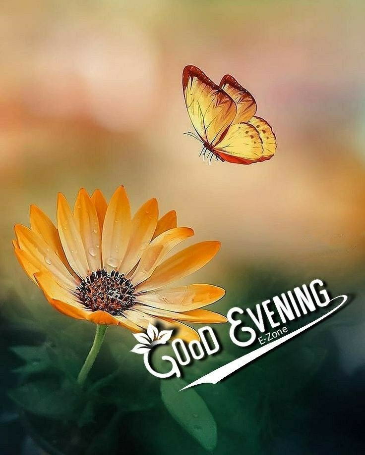 blessed-good-evening-images blessed-good-evening-images