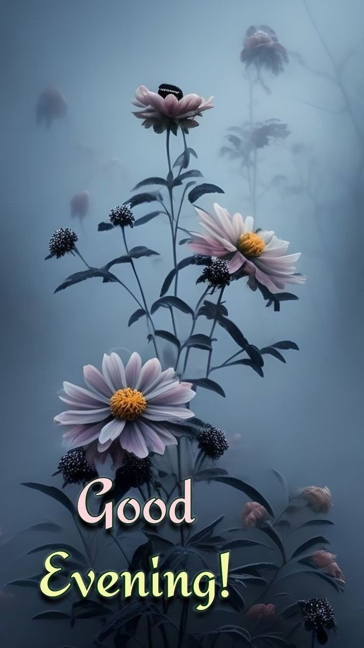 christmas-good-evening-images christmas-good-evening-images