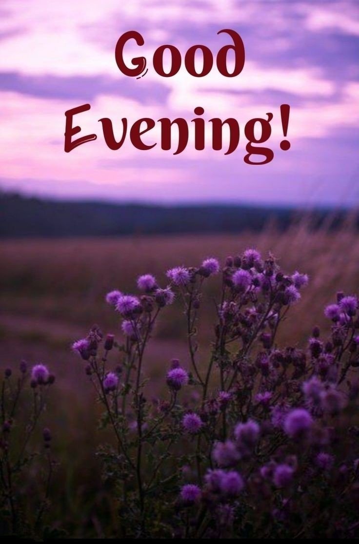 christmas-good-evening-images christmas-good-evening-images