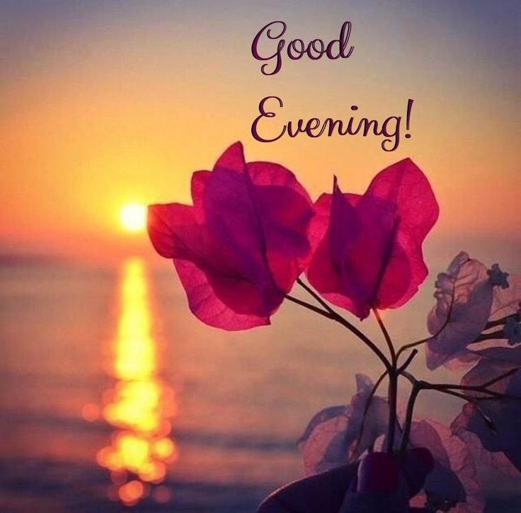 good-evening-darling-images good-evening-darling-images