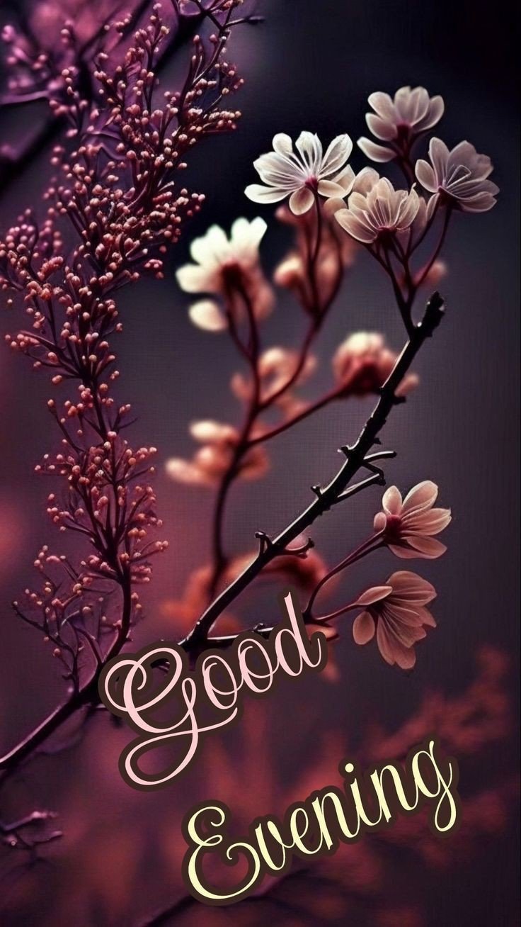 good-evening-images-and-quotes good-evening-images-and-quotes