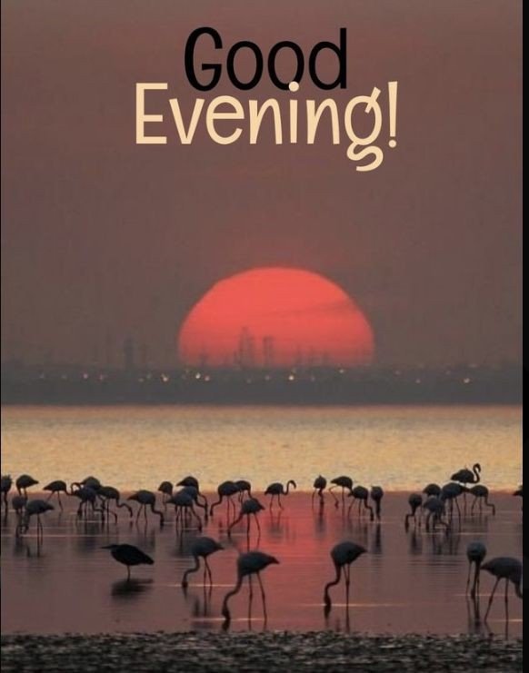 good-evening-images-chinese good-evening-images-chinese