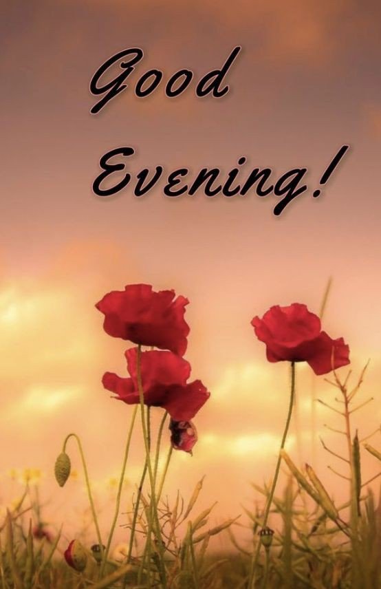 good-evening-images-clipart good-evening-images-clipart