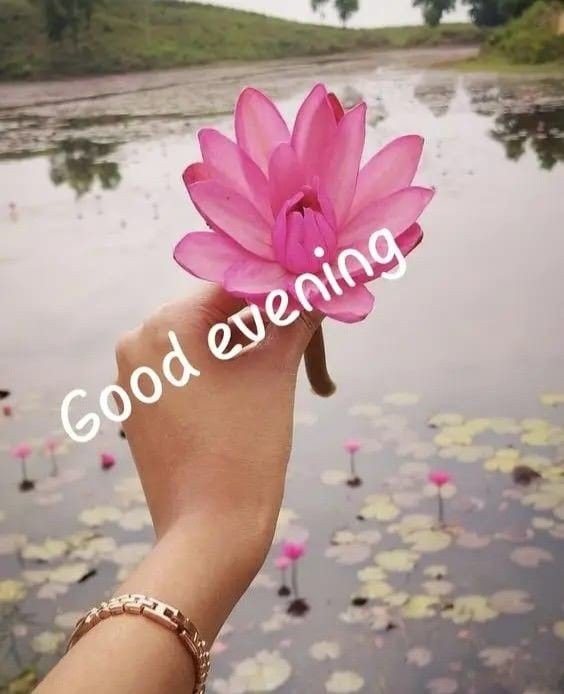 good-evening-quotes-and-images good-evening-quotes-and-images