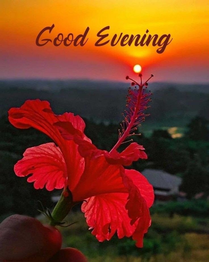 good-evening-quotes-and-images good-evening-quotes-and-images