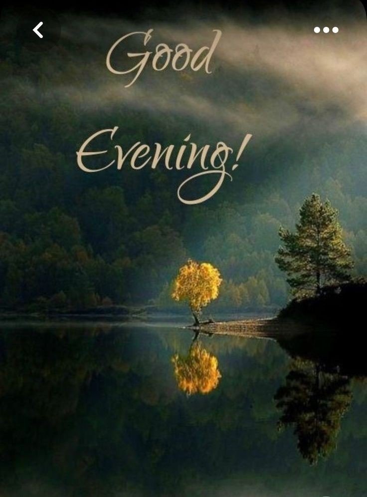 good-morning-images-cute good-morning-images-cute