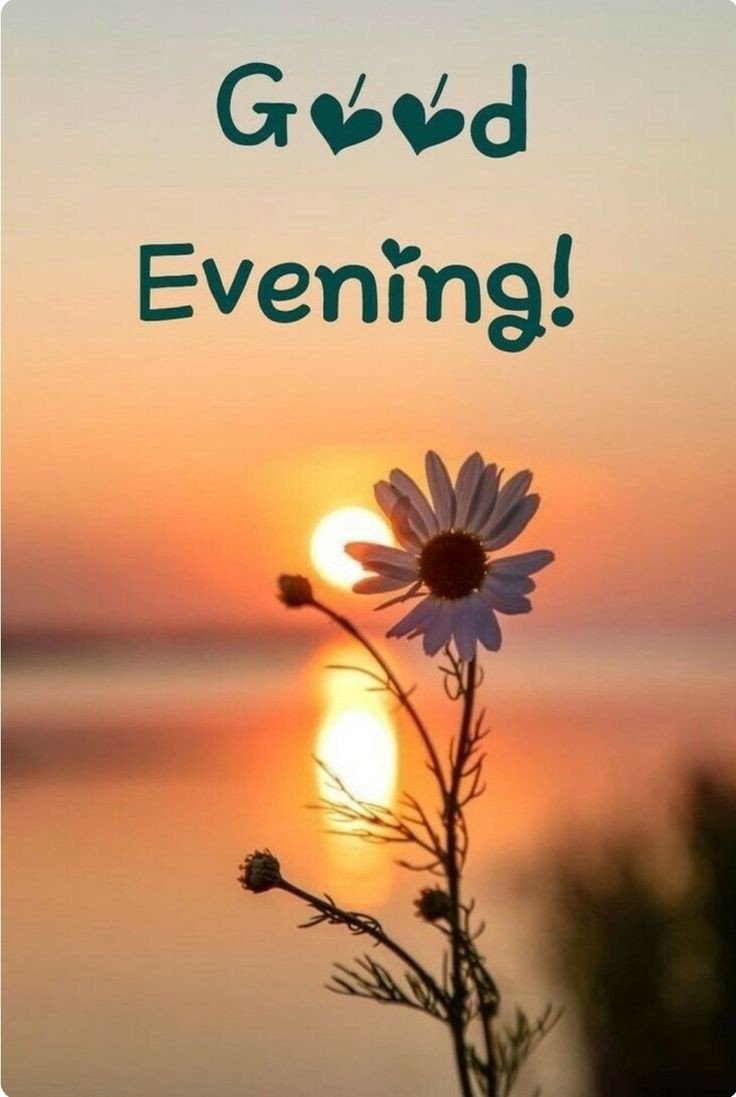 good-morning-images-download-for-whatsapp good-morning-images-download-for-whatsapp