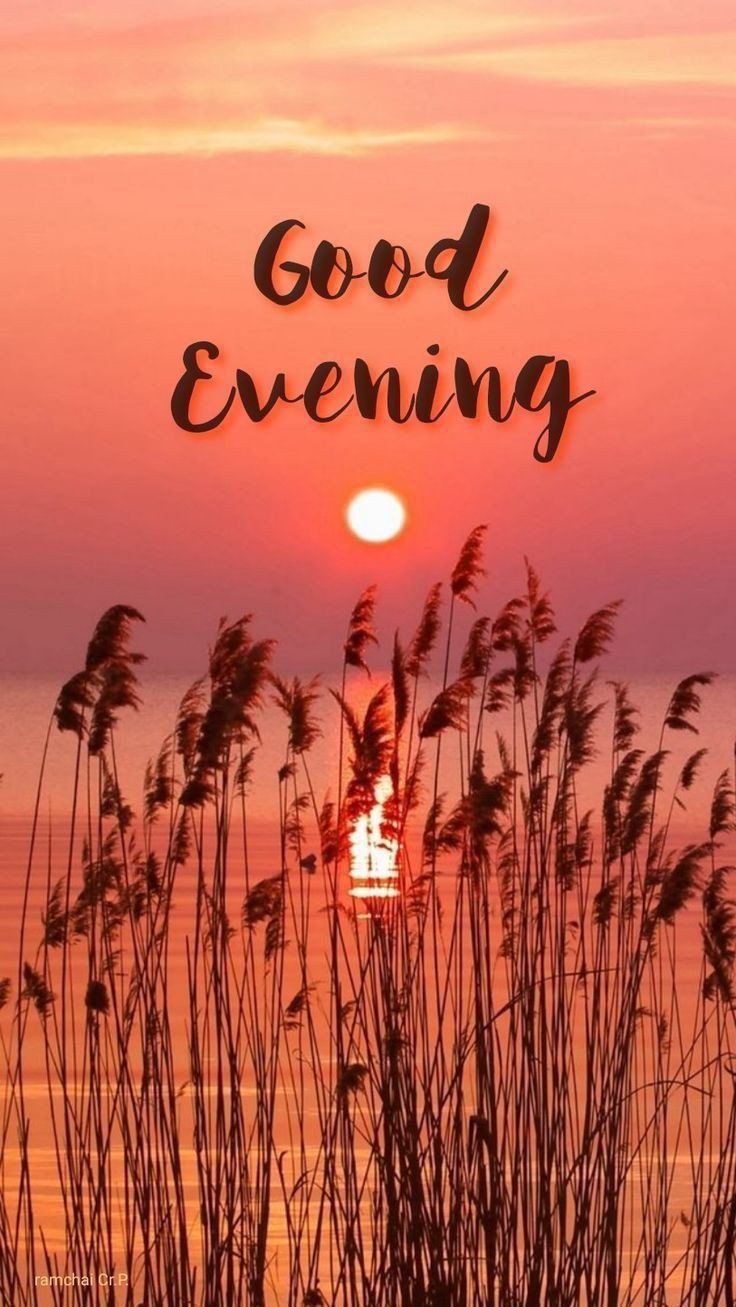 good-morning-images-download-hd good-morning-images-download-hd