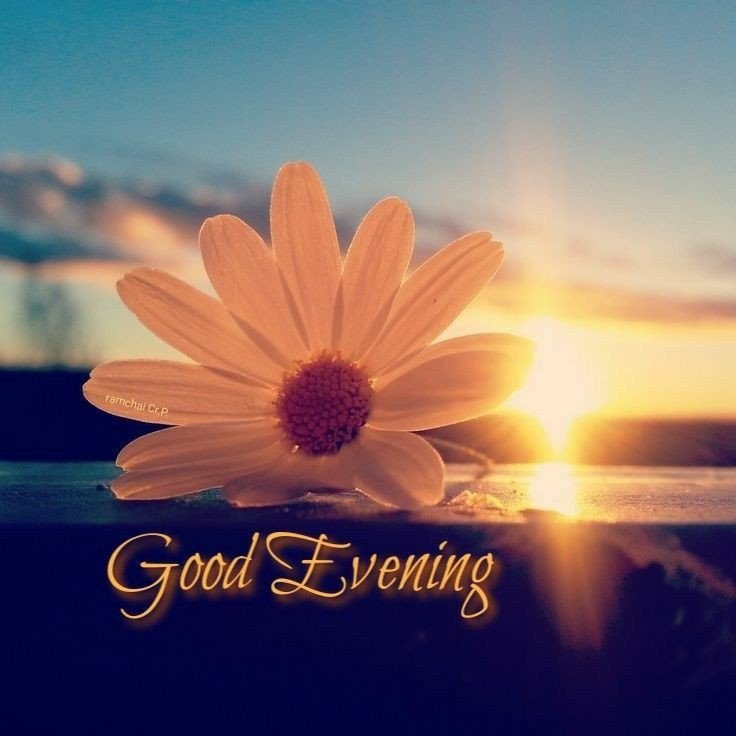 lovely-good-evening-images lovely-good-evening-images