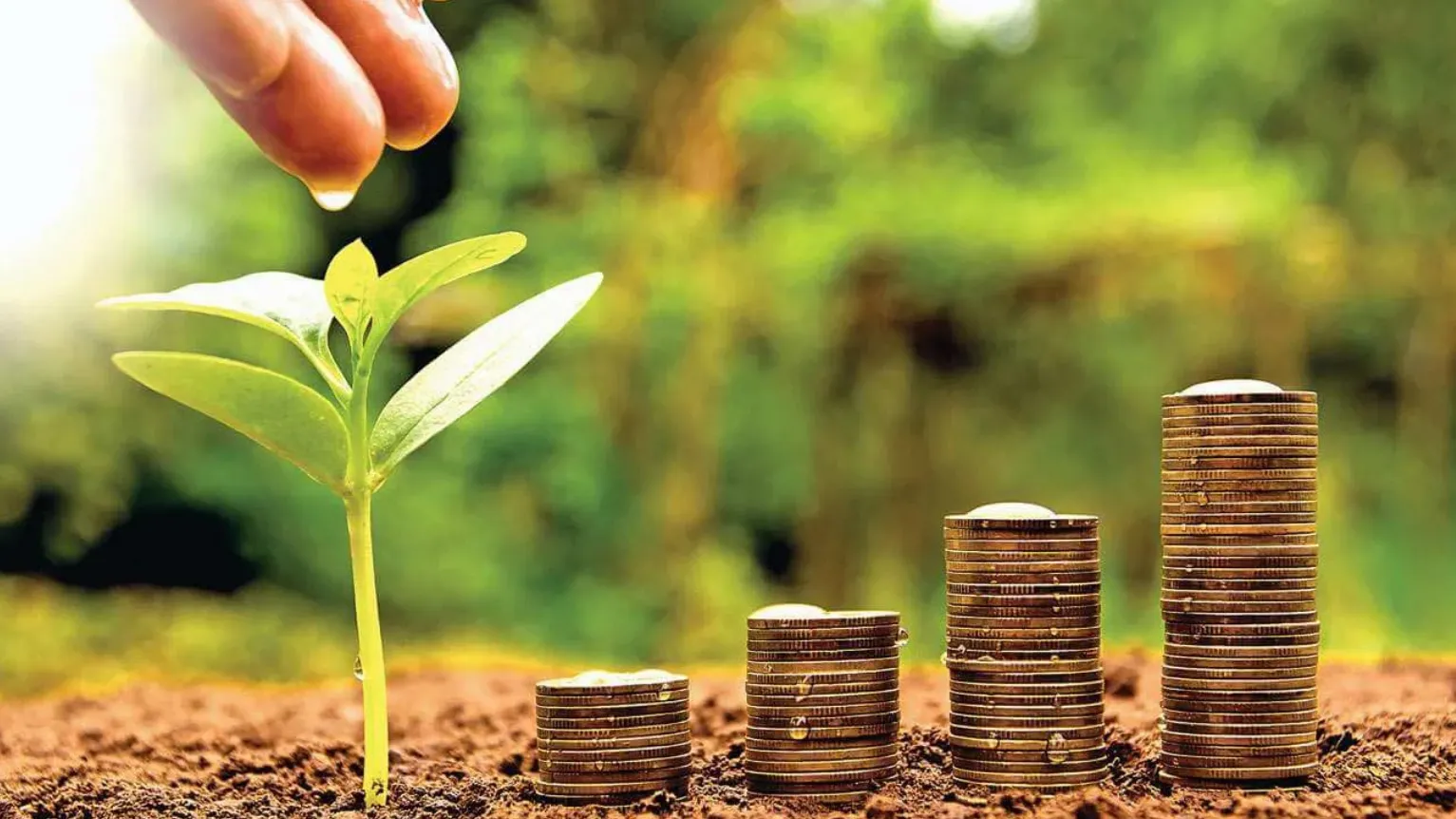 Starting Your Investment Journey Why the Best ELSS Funds are a Smart First Step